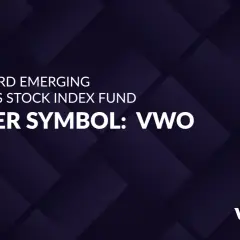 Vanguard Emerging Markets Stock Index Fund ticker symbol: VWO. This stock offers a way to invest in global growth.