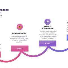 Flowchart of the tax audit process: Notification, Respond & Engage, Review & Determination, and Resolution & Appeal. This visual guide explains what is a tax audit.