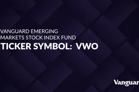 Vanguard Emerging Markets Stock Index Fund ticker symbol: VWO. This stock offers a way to invest in global growth.
