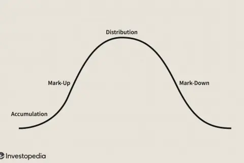 A bell curve illustrates the market cycle: accumulation, mark-up, distribution, and mark-down.