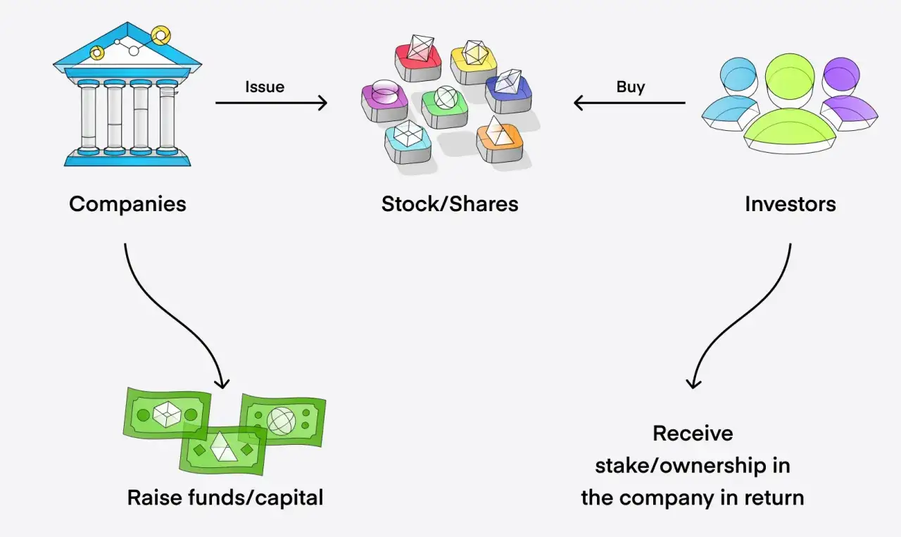 Diagram showing how companies issue stock/shares to investors, who buy them to raise funds/capital for the company and receive ownership in return. This illustrates the process of stock trading.