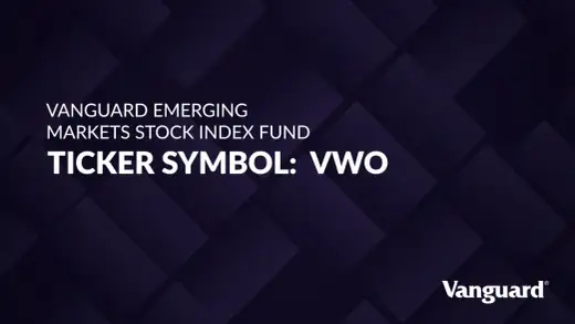 VWO Stock - What It Is, Risks, and How It Fits Your Portfolio