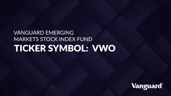 Vanguard Emerging Markets Stock Index Fund ticker symbol: VWO. This stock offers a way to invest in global growth.